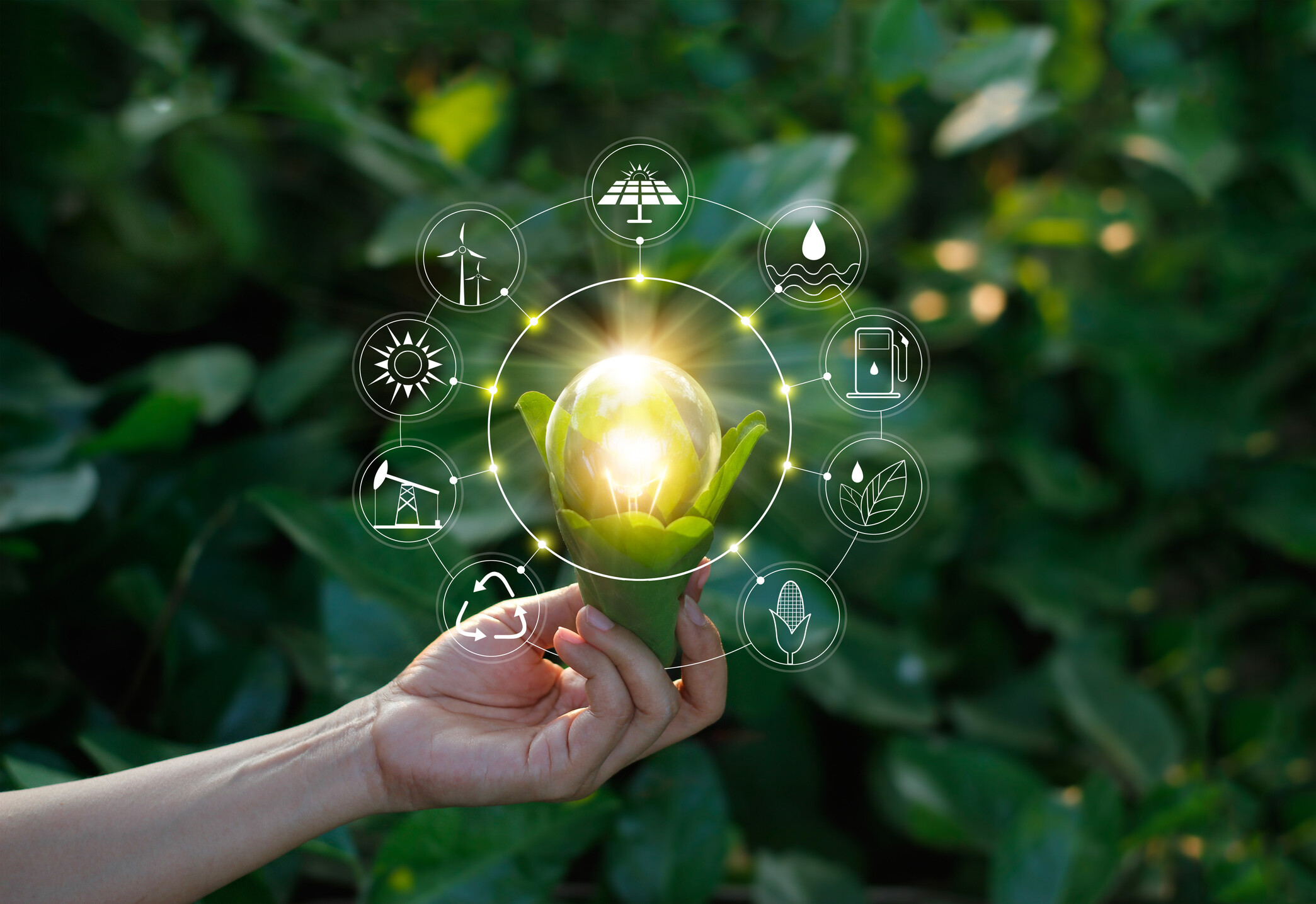 Tecnologías verdes: el camino hacia un futuro sostenible